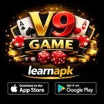 V9 GAME